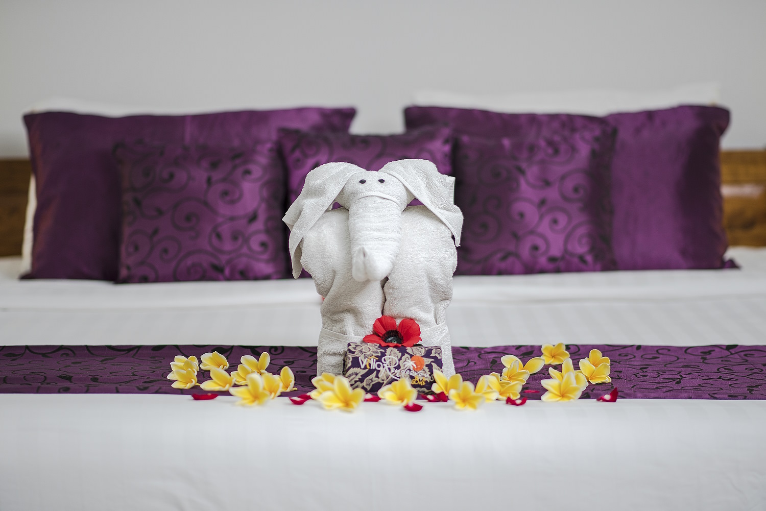 elephant towel art